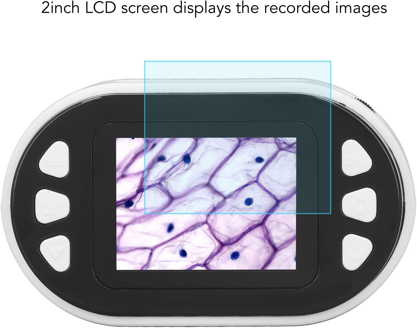 microscopio e telescopio digitale con display per PC